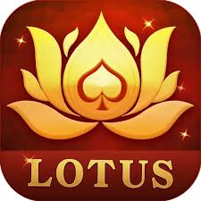 box master teen patti download